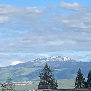 Meet your Posher, Monique